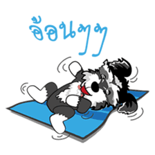 Mini Schnauzer sticker #8204135