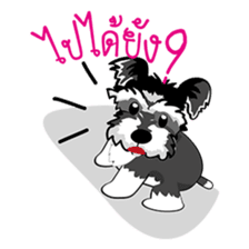 Mini Schnauzer sticker #8204139