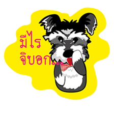 Mini Schnauzer sticker #8204146