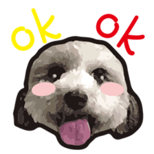 Hello , I'm "HOLD HOLD JAI JAI" sticker #8204716