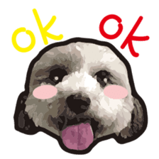 Hello , I'm "HOLD HOLD JAI JAI" sticker #8204716