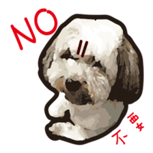 Hello , I'm "HOLD HOLD JAI JAI" sticker #8204717