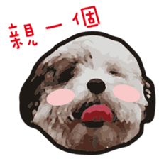 Hello , I'm "HOLD HOLD JAI JAI" sticker #8204718