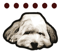 Hello , I'm "HOLD HOLD JAI JAI" sticker #8204719