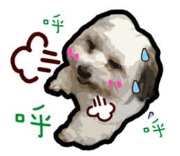 Hello , I'm "HOLD HOLD JAI JAI" sticker #8204721