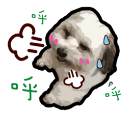 Hello , I'm "HOLD HOLD JAI JAI" sticker #8204721