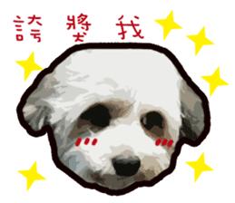 Hello , I'm "HOLD HOLD JAI JAI" sticker #8204723