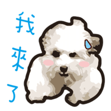 Hello , I'm "HOLD HOLD JAI JAI" sticker #8204726