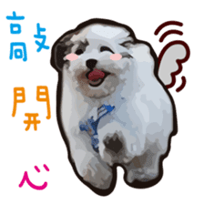 Hello , I'm "HOLD HOLD JAI JAI" sticker #8204728