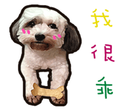 Hello , I'm "HOLD HOLD JAI JAI" sticker #8204731