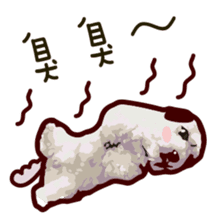 Hello , I'm "HOLD HOLD JAI JAI" sticker #8204732