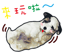 Hello , I'm "HOLD HOLD JAI JAI" sticker #8204734