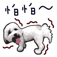 Hello , I'm "HOLD HOLD JAI JAI" sticker #8204737