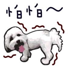 Hello , I'm "HOLD HOLD JAI JAI" sticker #8204737