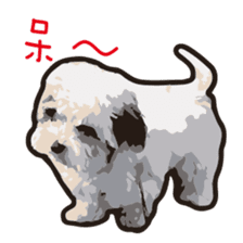 Hello , I'm "HOLD HOLD JAI JAI" sticker #8204739