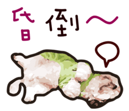 Hello , I'm "HOLD HOLD JAI JAI" sticker #8204743