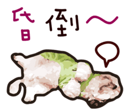 Hello , I'm "HOLD HOLD JAI JAI" sticker #8204743