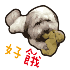 Hello , I'm "HOLD HOLD JAI JAI" sticker #8204744