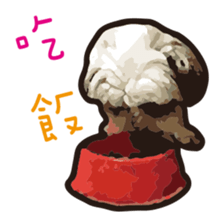 Hello , I'm "HOLD HOLD JAI JAI" sticker #8204745