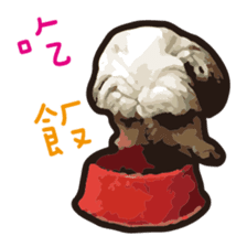 Hello , I'm "HOLD HOLD JAI JAI" sticker #8204745