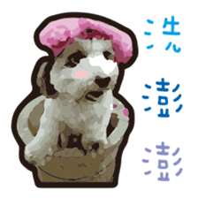 Hello , I'm "HOLD HOLD JAI JAI" sticker #8204746