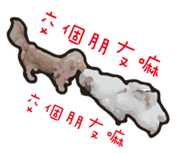 Hello , I'm "HOLD HOLD JAI JAI" sticker #8204748