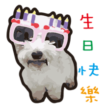 Hello , I'm "HOLD HOLD JAI JAI" sticker #8204751