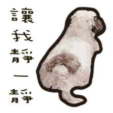 Hello , I'm "HOLD HOLD JAI JAI" sticker #8204752