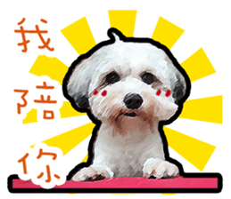 Hello , I'm "HOLD HOLD JAI JAI" sticker #8204753