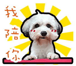 Hello , I'm "HOLD HOLD JAI JAI" sticker #8204753