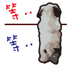 Hello , I'm "HOLD HOLD JAI JAI" sticker #8204754