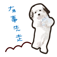 Hello , I'm "HOLD HOLD JAI JAI" sticker #8204755