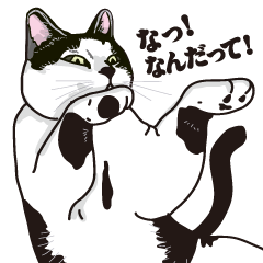 Friend of a pleasant cat 02