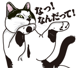 Friend of a pleasant cat 02 sticker #8204956