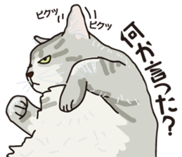 Friend of a pleasant cat 02 sticker #8204957