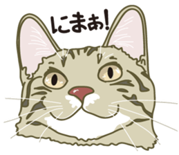 Friend of a pleasant cat 02 sticker #8204958