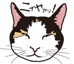 Friend of a pleasant cat 02 sticker #8204962