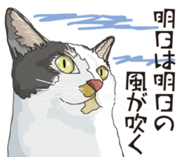 Friend of a pleasant cat 02 sticker #8204964