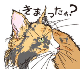 Friend of a pleasant cat 02 sticker #8204967