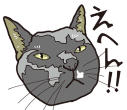 Friend of a pleasant cat 02 sticker #8204968