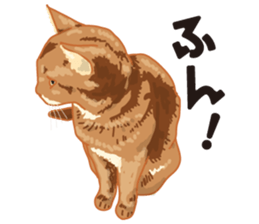 Friend of a pleasant cat 02 sticker #8204969