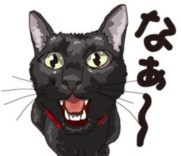 Friend of a pleasant cat 02 sticker #8204970