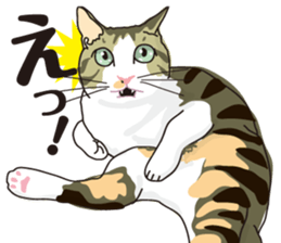 Friend of a pleasant cat 02 sticker #8204971