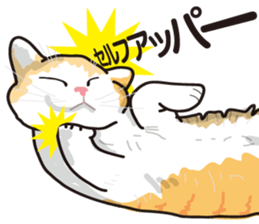 Friend of a pleasant cat 02 sticker #8204972