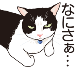 Friend of a pleasant cat 02 sticker #8204973