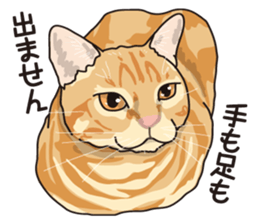 Friend of a pleasant cat 02 sticker #8204974