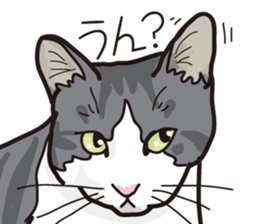 Friend of a pleasant cat 02 sticker #8204975