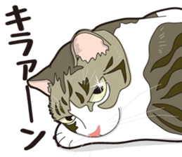 Friend of a pleasant cat 02 sticker #8204977