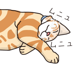 Friend of a pleasant cat 02 sticker #8204980