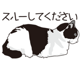 Friend of a pleasant cat 02 sticker #8204982